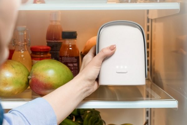 Vitesy Shelfy Lite Purifies Air in the Fridge to Extend the Shelf Life of Your Produce